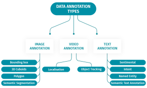 Why is it Better to Outsource Data Annotation? | The SunTec India Blog ...