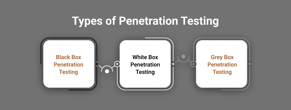 Types of Penetration Testing